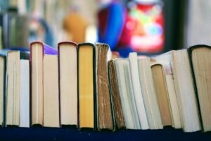 Books lined up showing it is possible to write a novel