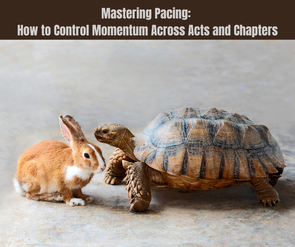 A rabbit and a tortoise side by side, symbolizing the balance of fast and slow pacing in storytelling.