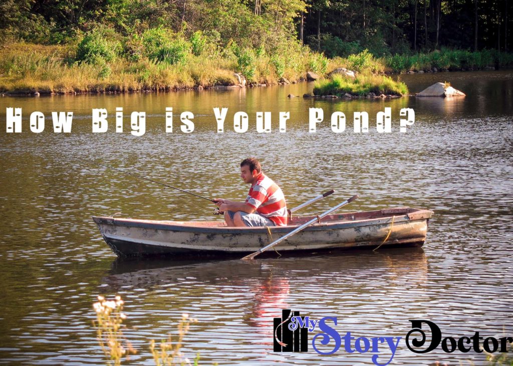 how big is your pond