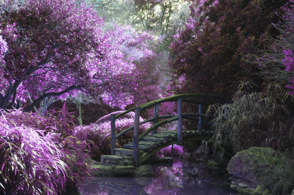 fantasy landscape purple