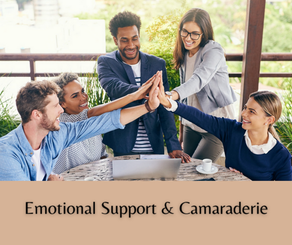 Emotional Support and Camaraderie